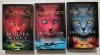 WOJOWNICY. TOMY 1-3 - Erin Hunter 